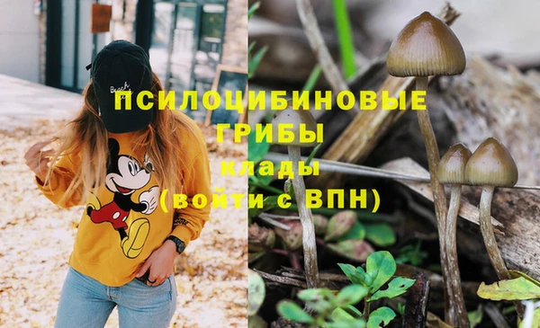 меф Горняк