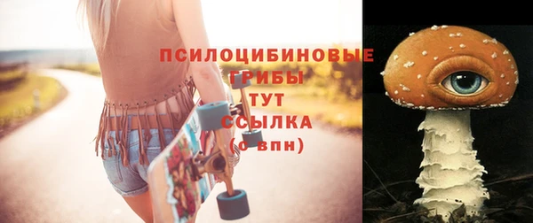 бутират Горнозаводск