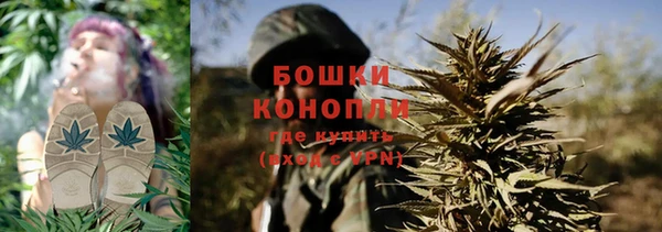 бутират Горнозаводск