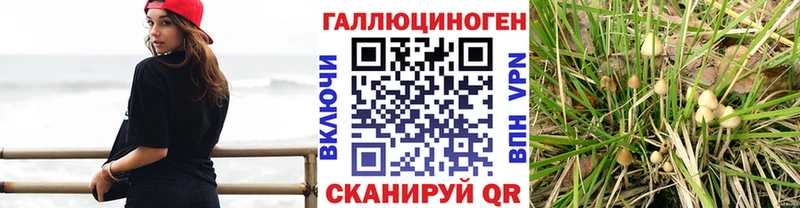Галлюциногенные грибы MAGIC MUSHROOMS  наркота  Железногорск 