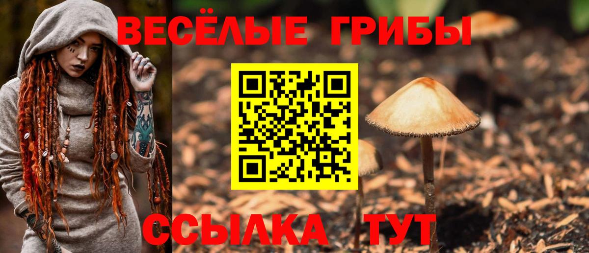 Галлюциногенные грибы прущие грибы  Вход с VPN  Железногорск 
